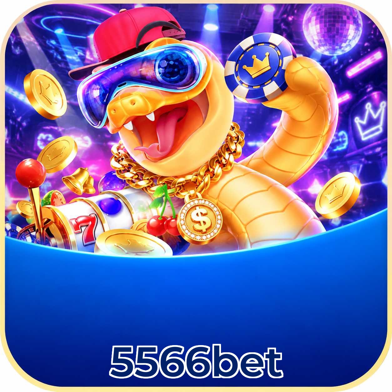 5566bet Download Speed