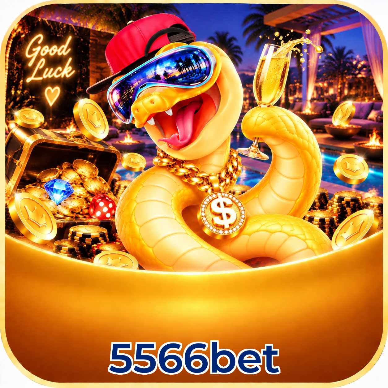 5566bet Performance